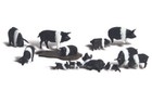 Woodland Scenics   New 2025   Ho Scale   Assorted Farm Set Economy Pack   A2051