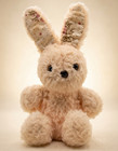    vintage Cream Plush Bunny Rabbit Floral Inner Ears Black Button Eyes Stuffed 8 