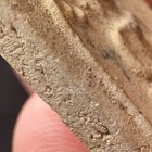 Phra Somdej Wat Rakang Phim Prok Pho Lp Toh Nak Thai Amulet Buddha Talisman