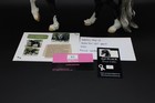 Lsp Breyer Battlefield Angel Hp