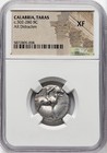 Calabria Taras 302-280 Bc Silver Ar Didrachm Ancient Greek Dolphin Coin  Ngc Xf