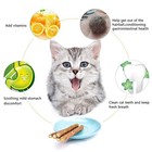 Wolover 10pcs Cat Catnip Sticks Natural Matatabi Silvervine Teeth Cleaning Chew