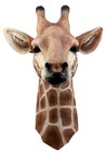 Ebros Safari Giraffe Head Trophy Taxidermy Wall Decor 16 5 h