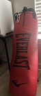 Everlast Elite Heavybag
