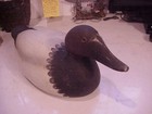 Mason Premier  Special Order  Drake Canasback  Mammoth Duck Decoy hunting decoys