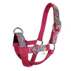 Tahoe Tack Nylon Overlay Sheep And Goat Training Halter Padded  6 Month Warranty
