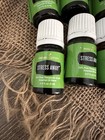 Bundle Of 6 Young Living Stress Away Essential Oil Blend 5ml New Old Stock