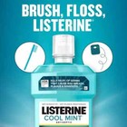Pack Of 2 Listerine Cool Mint Antiseptic Mouthwash 33 8 Fl  Oz