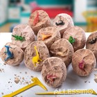 Dino Egg Discovery Dig Kit With 4 Hatching Eggs 3 Tools Jr  Paleontologist