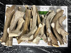 Deer Antler Dog Chews   Sold By The Pound -  a  Grade Antlers For Dogs - Natural