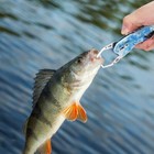 Flissa 7  Camo Fish Gripper Stainlesssteel Fish Grabber 40pound Fish Lip Gripper