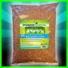 Wheat Grass   Cat Grass Seeds   Certified Usda Organic Amounts Up To 50 Lbs Bulk