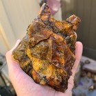 Rare Top Quality Brecciated Jasper-agate Rough  dendritic  From Utah 2 Lb