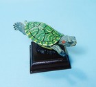 Kitan Club Nature Techni Colour Young Red-eared Slider Turtle Mini Figure New