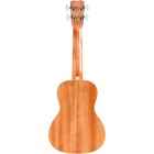 Cordoba 15c Concert Ukulele  Sangria
