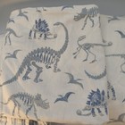 Pottery Barn Kids Organic Cotton Twin Sheet Set Dinosaur Bone Glow Fitted Flat