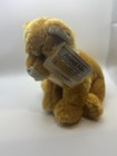 Brand New W tag Animal Alley Toys R Us Lion Cub Plush  10  Soft Stuffed Animal