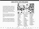 Stamps  Great Plains Prairie Dog Town  Fort Niobrara National Wildlife Refuge Ne
