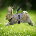 Rabbit Vest Harness And Leash Set Adjustable Formal Suit Style For Bunny Kitten
