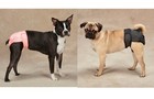 Washable Dog Diapers Male Wraps Or 2 Unisex Cover Ups Reuseable Comfy Protection
