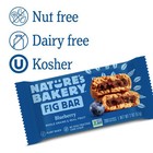 Nature s Bakery  Blueberry Fig Bars  10 Twin Packs  2 Oz Each
