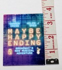 Maybe Happy Ending Retired Darren Criss Helen J Shen Magnet Fleabay