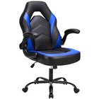 Gianna Ergonomic Computer Gaming Chair With Flip-up Armrest  Height Adjustable P