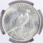 1921 Peace Silver Dollar     High Relief U s  Silver Coin