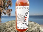 Gulf Surge Hot Sauce   Aged Fermented Cayenne   Gulf Coast Flavor   5 Oz