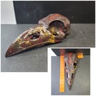 Xlarge 12  Red Jasper Raven Skull Sculpture-  stone Of Endurance   Wicca  Pagan