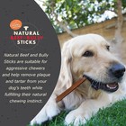 Bully Sticks   100  Natural Beef Bully Sticks Dog Chews   Treats Usa Sourced