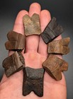 Ice Age Turtle Edge Scute Collection - Highly Detailed Pleistocene - North Fl