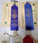 Vintage 1950s Fair State College Ribbons And Paperwork Certificates Lot Of 15 