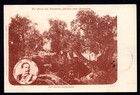 Palestine Germany 1908 Jaffa 3 10 98 The First German P o  In Palestine