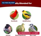 Kaytee Cardinal Seed Cake  Wild Bird Food  1 85 Pounds