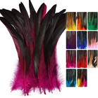 Colorful Rooster Tail Feathers-50pc 10-12inch Natural Long Rooster Tail Feathers