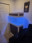Fish Tank Stand With Hood And 30 Gallon Tank