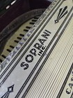 Vintage Soprani Castello Accordian  made In Italy  W  Sequins