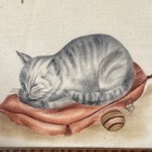 Sleeping Kitten By B  Framed 1950 s Antique Frame 9  By 8 3 4  Tiger