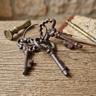 Cast Iron Skeleton Keys On A Ring Victorian Antique Style Rustic Brown