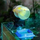 Aquarium Tank Automatic Turtle Feeder Auto Fish Feeder Feeding Fish Tank