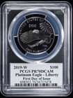 2019-w Proof  100 1 Oz Platinum Eagle Statue Of Liberty Pcgs Pr 70 Dcam Fdoi