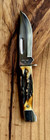 Vintage Case Stag Fixed Blade Knife 578-3 1 2 Ss  2 Dots-with Original Sheath 