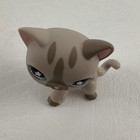 Littlest Pet Shop Cuddliest  468 Short Hair Cat Lps Animal Figure 2006 Hasbro