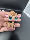 Lps Littlest Pet Shop Bundle Of 5 Figurines