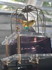 Old And Vintage Bird In Cage Music Box-very Very Rare
