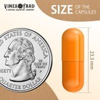 Plant Based Empty Capsules  Size 00   1000 Or 5000 Count   Vegan