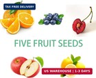 Bonsai Fruit Tree Mix Seeds For Planting  Lemon 40  Apple 42  Cherry 20  Orange