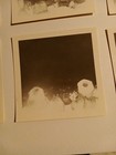 Beatles Concert Photographs Taken By Fan 1964 Six Authentic Photos B w