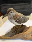 R P Coburn Sanderling Hand Carved Bird Wood Folk Art Lunenburg Ma Crowell Art